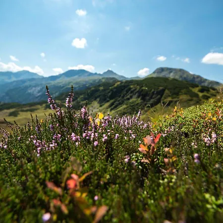 Gasthof Auwirt Guest house Sankt Michael im Lungau